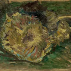 Focus artiste : Vincent van Gogh_Arles