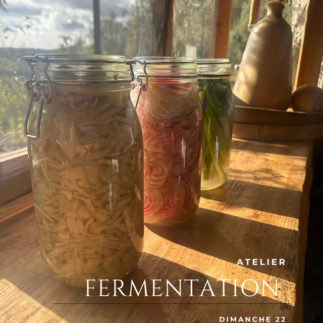 Atelier Fermentation_Saint-Jeannet