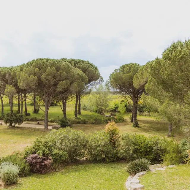Château Mouresse_Vidauban