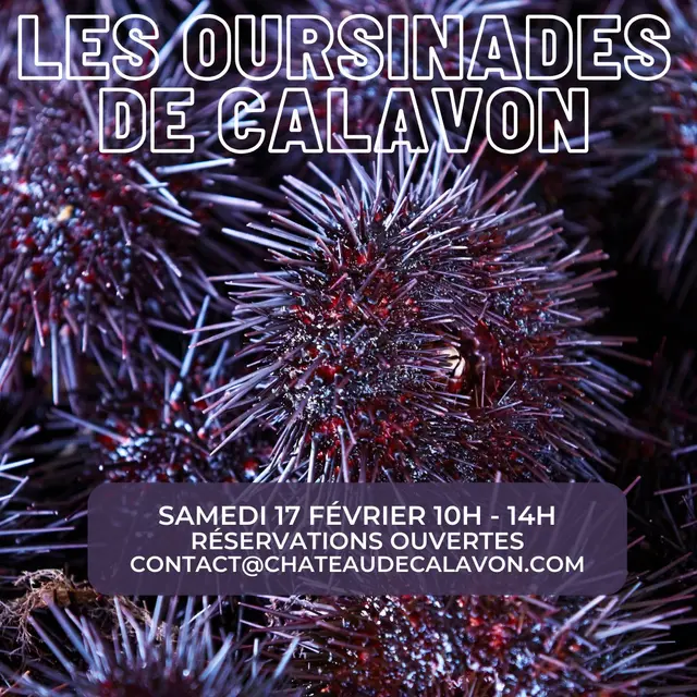 Oursinades Calavon