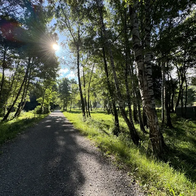 Lieu-dit Peyrouvier, Chabottes