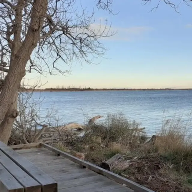 Balade à vélo guidée_Arles