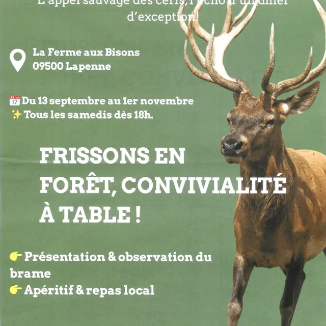 Soirée Brame du Cerf_Lapenne