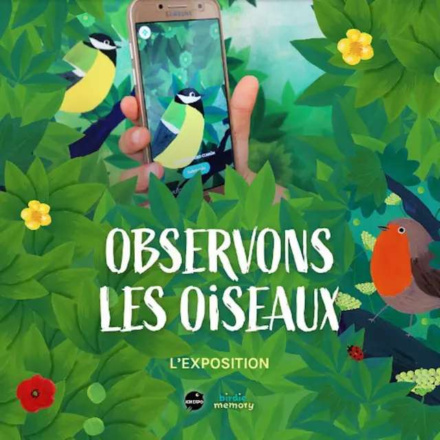 Exposition : observons les oiseaux_Gréoux-les-Bains