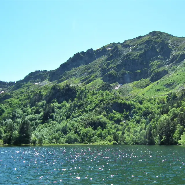 L'étang de Balbonne