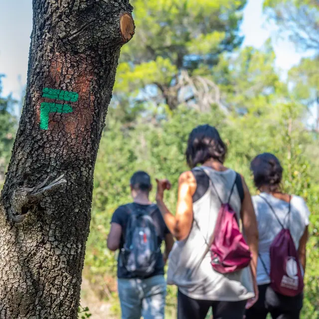 Randonnée Boissouteyrand