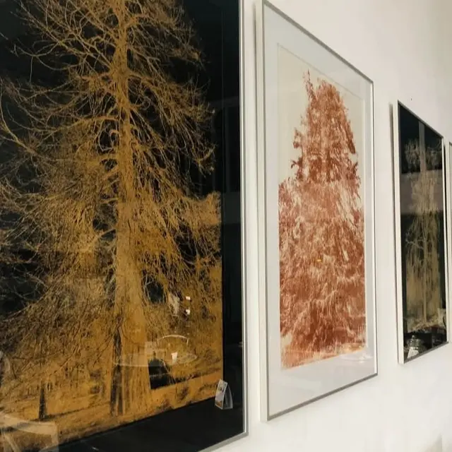 La Ruche, Caylus Café Associatif et Culturel_Caylus