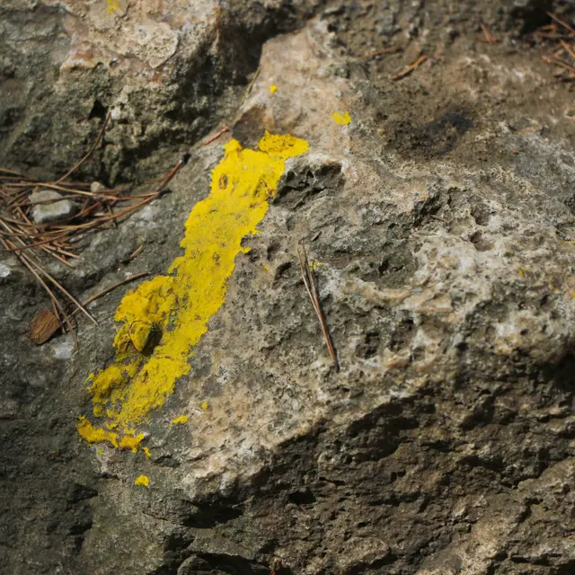 Le sentier du littoral