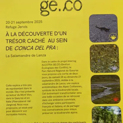 A la découverte d'un trésor caché au sein de Conca del Pra : la Salamandre de Lanza_Abriès-Ristolas