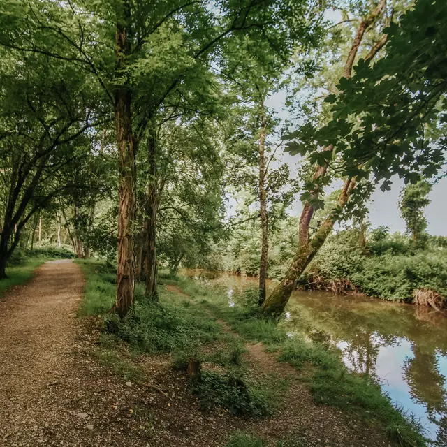 Saint-Julien-en-Genevois_Saint-Julien-en-Genevois