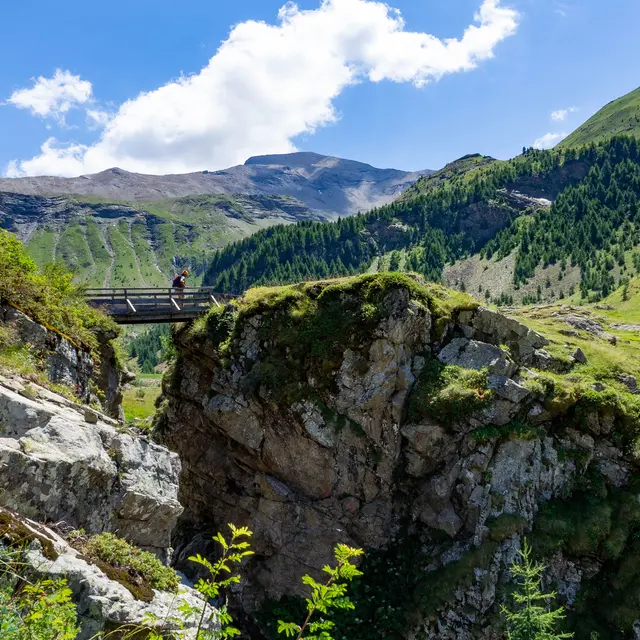 Pont du Saut du Laïre
