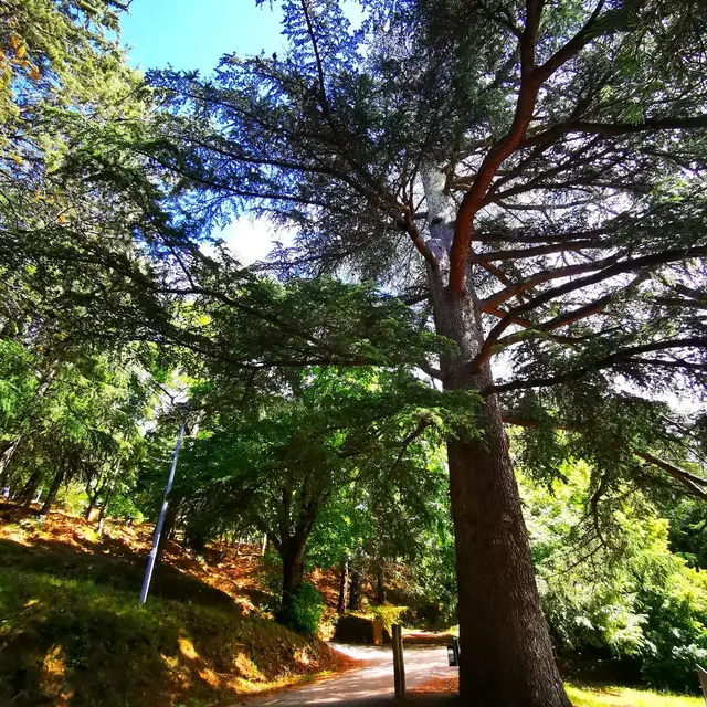 Parc Saint Roch à Collobrières