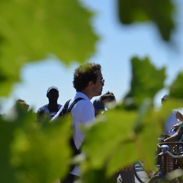 Notre guide, Jean, présentant le patrimoine viticole richissime du territoire français