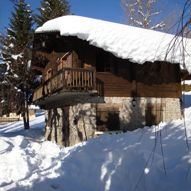 Tovet Hiver