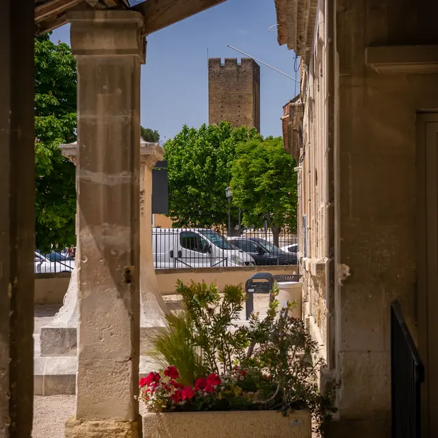 Visite de la Tour dite des Templiers_Entraigues-sur-la-Sorgue
