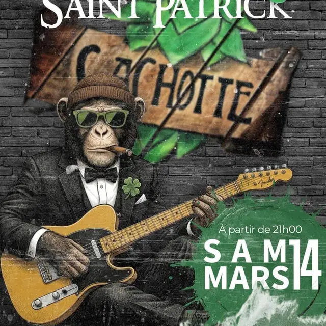 Concert de la Saint Patrick_La Seyne-sur-Mer