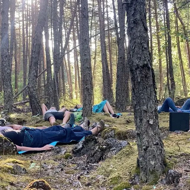 Sylvothérapie Arc en Ciel_Vallouise-Pelvoux