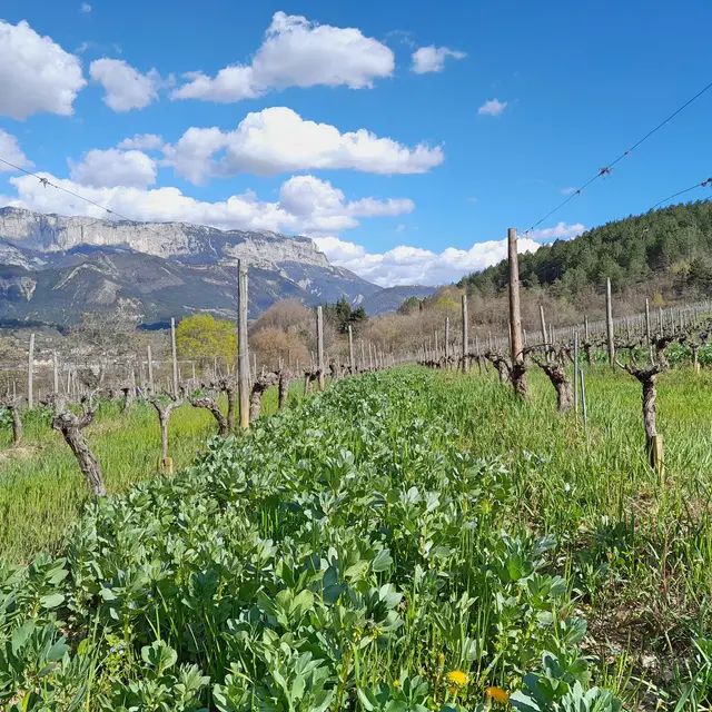 De Ferme en Ferme -Domaine du l'Ubac_Die