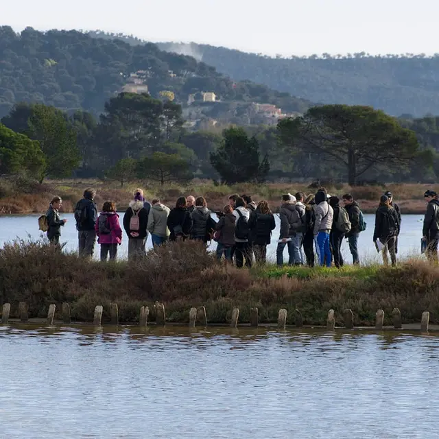 Balade randonnée sur le littoral des vieux salins à la rencontre des oiseaux marins