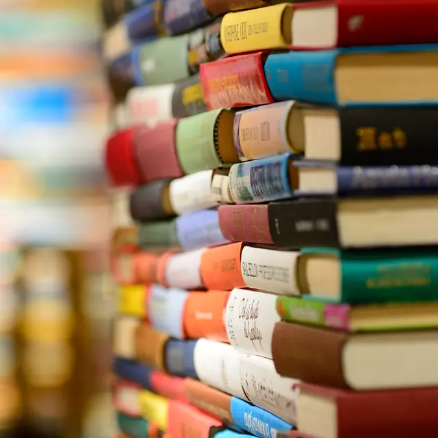 Sur les traces de Panissières - Fête du livre 2026_Panissières