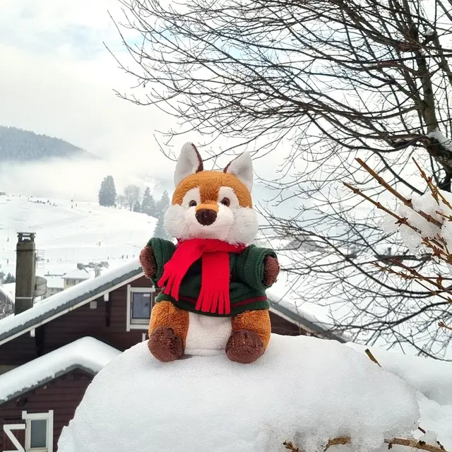 Photo de l'événement