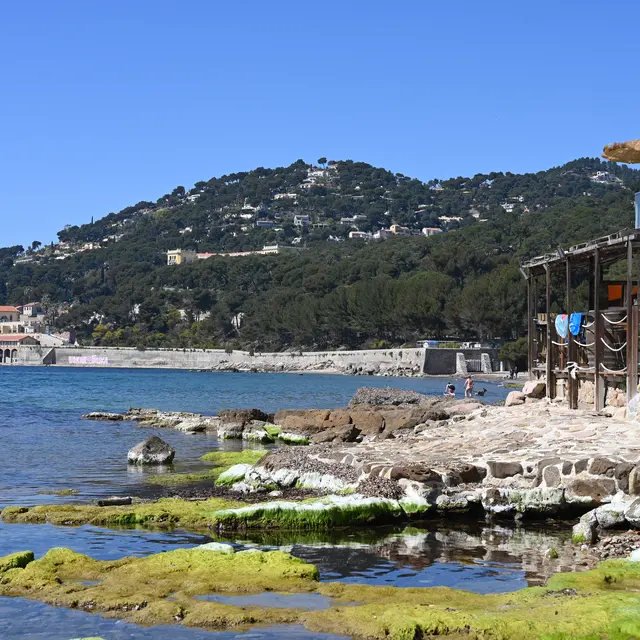 Le Stella Maris à l'Almanarre