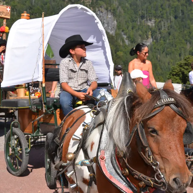 FETE DE L'ATTELAGE