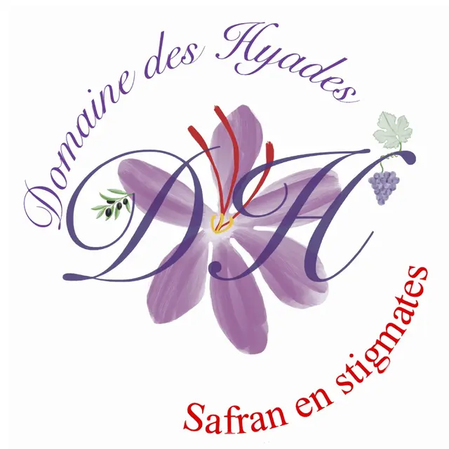 Domaine des Hyades