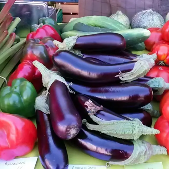 Le jardin à emporter Doussard Sources du lac d'Annecy