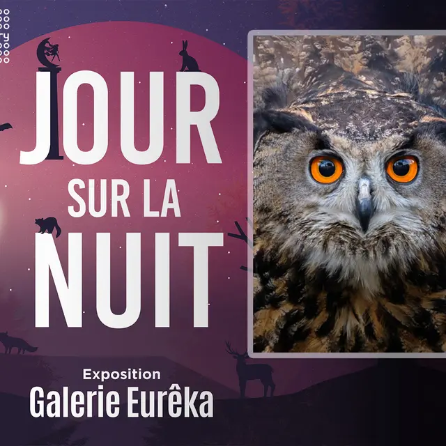 Conférence : Les rapaces nocturnes_Chambéry