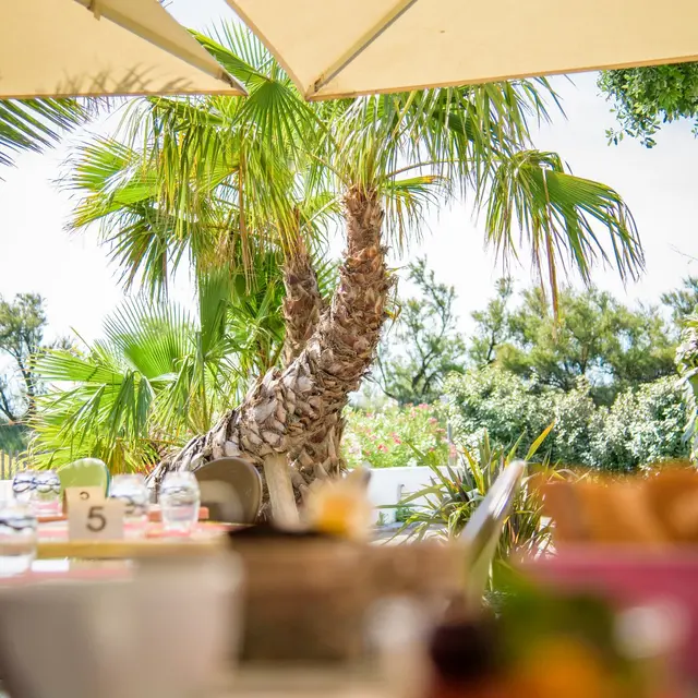 Terrasse