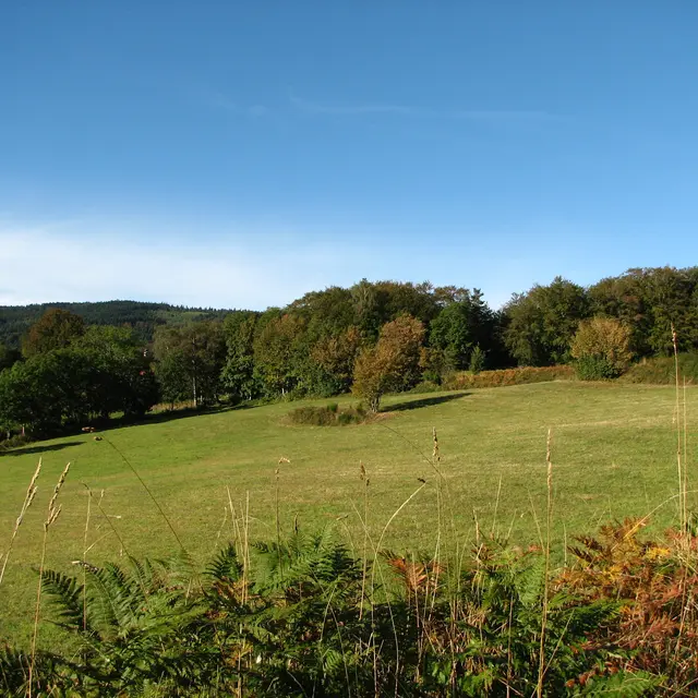 Panorama Mont Genest