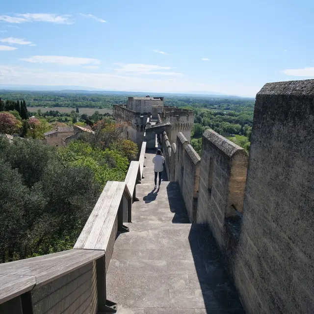 Fort Saint-André