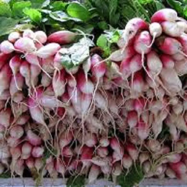 Marché de Boëge