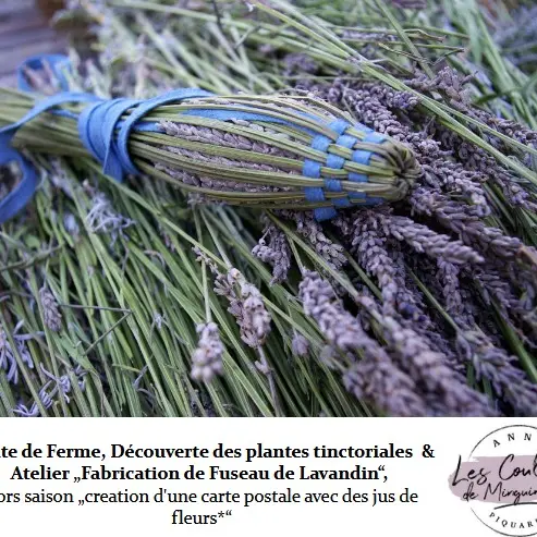 Atelier créatif : Création de carte postale avec jus de fleurs_Barjols