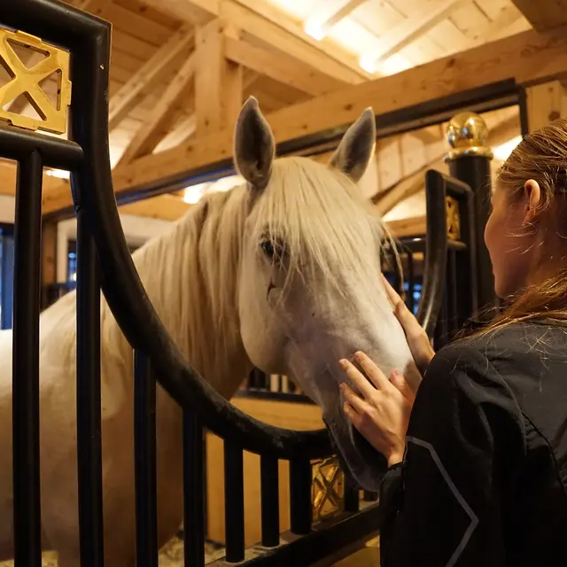 Poney-Club de Marly-le-Roi