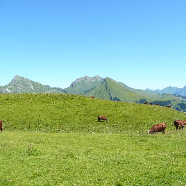 Repas savoyard pour la Fête Nationale