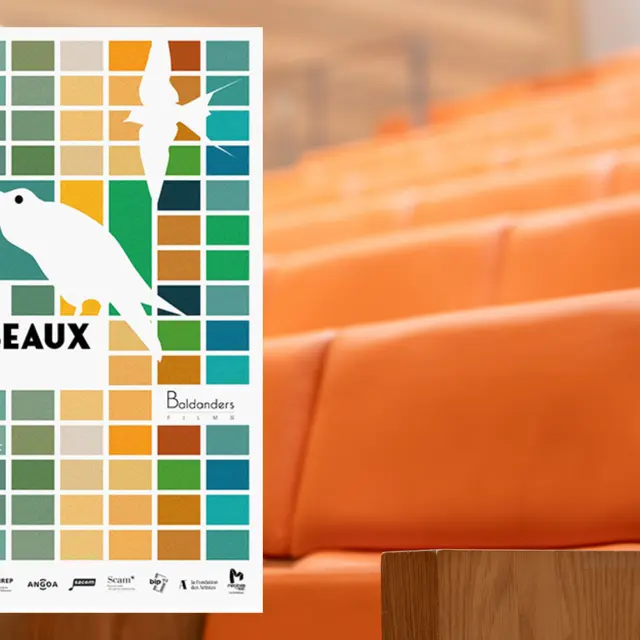 Projection : Les Instants doc_Megève