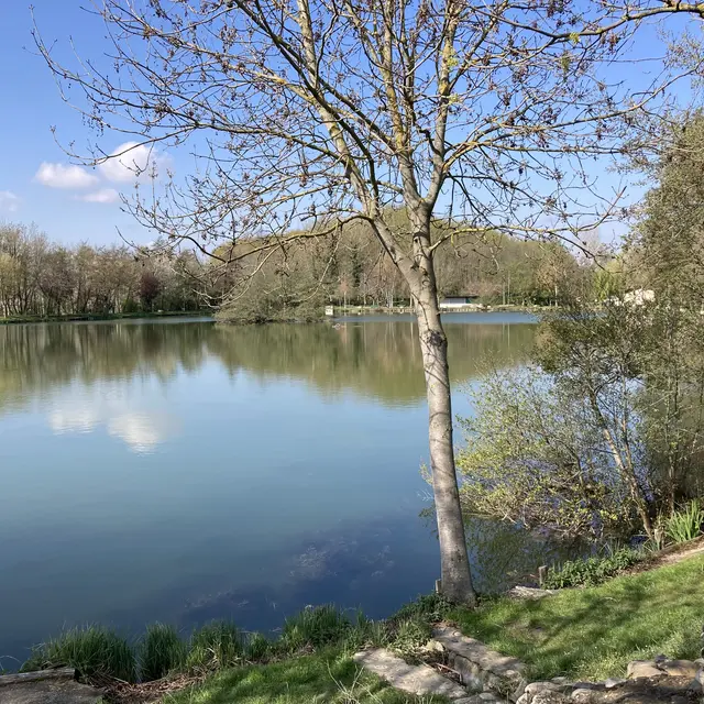 Etang de l'Argentelle