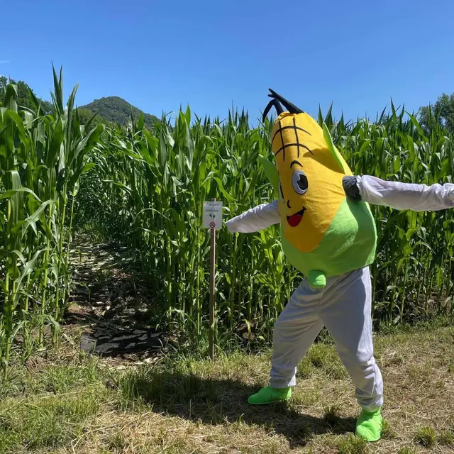 Labyrinthe maïs de Bassignac_Bassignac