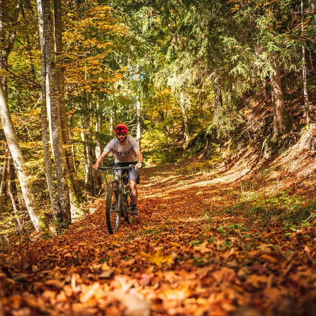 Le Tour du Montviard - itinéraire VTT Cross-Country n°32_Alex