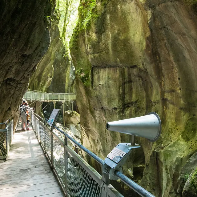 アルベール・ルブール、「LES LAVEUSES A PONT-DU-CHATE アルベール