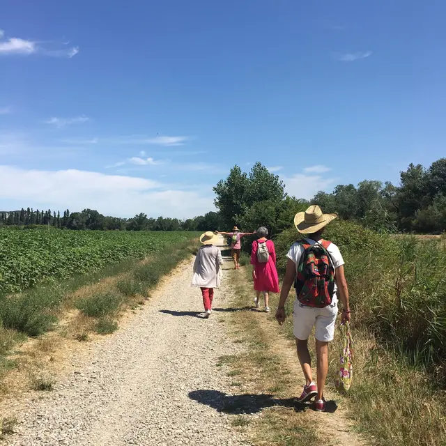 Au fil du Rhône_Villeneuve-lez-Avignon