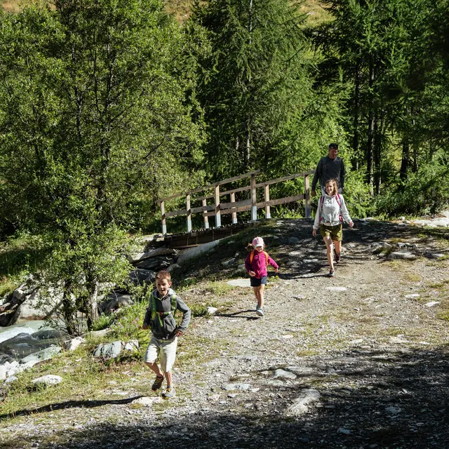 Balade en famille dans la forêt de Val d'Isère en été
