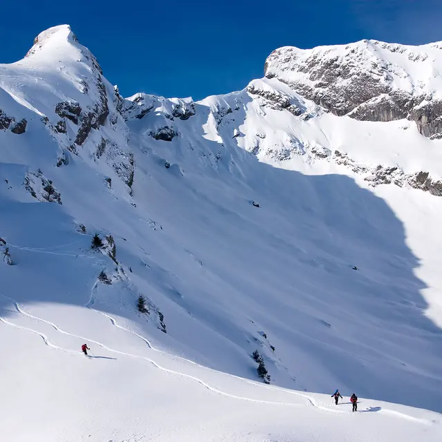 Encadrement ski hors piste