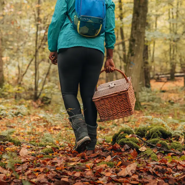 Les secrets des champignons en forêt de Marly_Marly-le-Roi