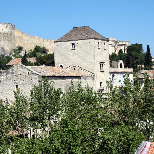 Il était une fois Villeneuve lez Avignon : les Palais Cardinalices, splendeur et secrets à Villeneuve lez Avignon_Villeneuve-lez-Avignon