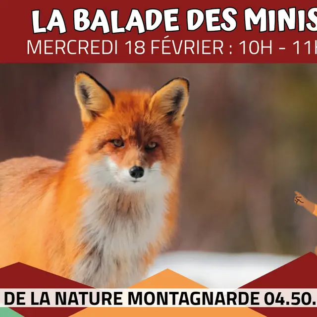 La Balade des Minis_Sallanches