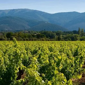 Tylène Transport Tourisme_Aix-en-Provence