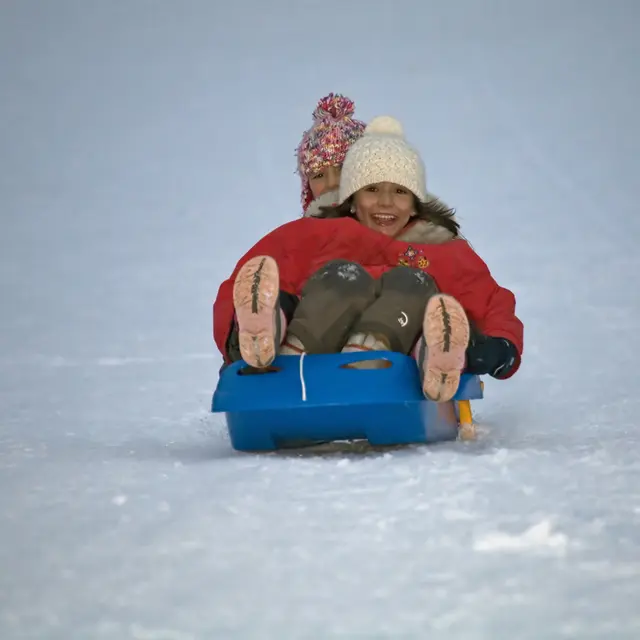 Luge
